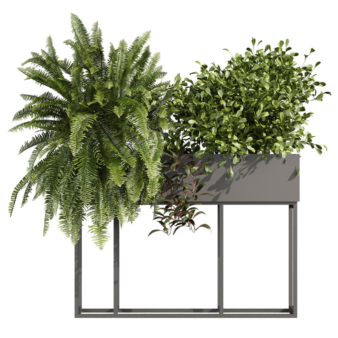 plant vol 1059 - fern - bush - leaf - box 3D https://p.turbosquid.com/ts-thumb/q2/oBx7Ab/y3/2/jpg/1791731882/1920x1080/fit_q87/9bd5b4f89ac7d3089cfa0ecf869445852f0534fb/2.jpg
