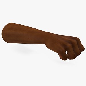 Dark Skinned Man Fist