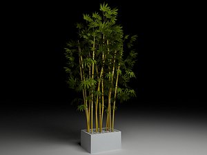 bamboo