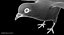 Dark Rock Pigeon (Animated)