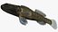 Collezione Darter Fish 3