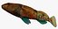 Collezione Darter Fish 3