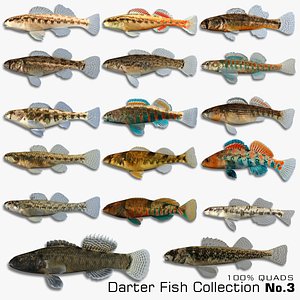 darter fish x