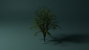 3D beautiful tree model