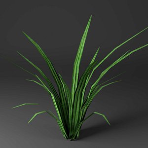 Grass 1