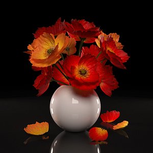 red poppies flowers model