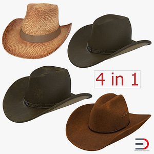old cowboy hats 3ds