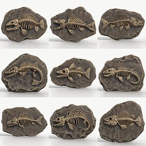 9 Textured Prehistoric Fish Skeleton Fossils Collection 3D