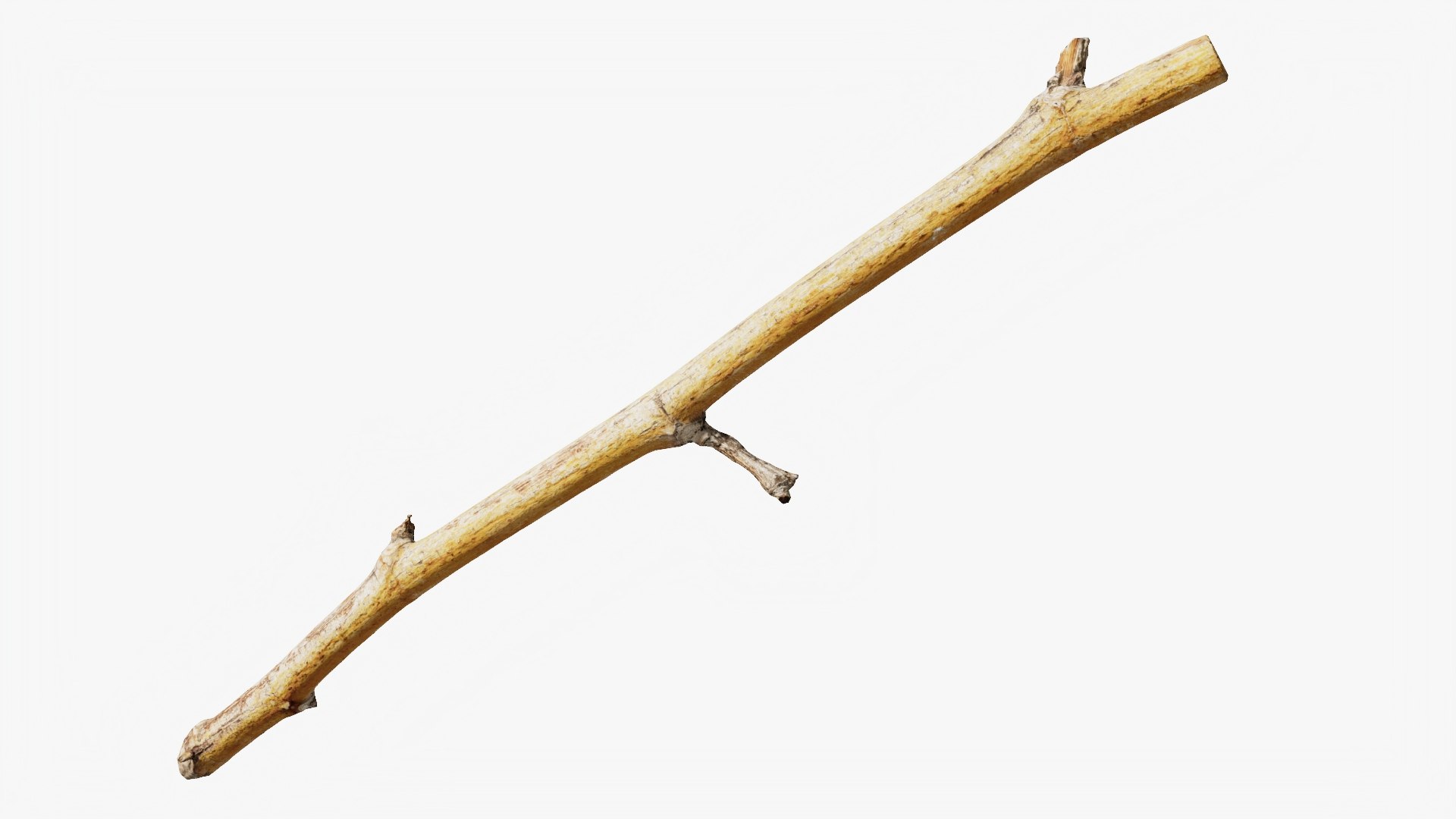 3D Scanned Sprig 19 StemCell https://p.turbosquid.com/ts-thumb/q4/v2xy1c/8W/twig_19_context/jpg/1745652777/1920x1080/fit_q87/74b8d5ddeabc4d4a7df29b54112bcfb7513a6d51/twig_19_context.jpg
