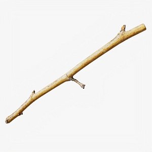 3D Scanned Sprig 19 StemCell