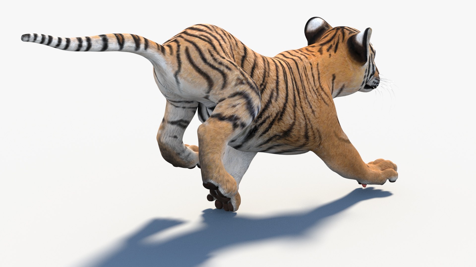 Animated Tiger Cub 3D Model 3D Model - TurboSquid 2332880