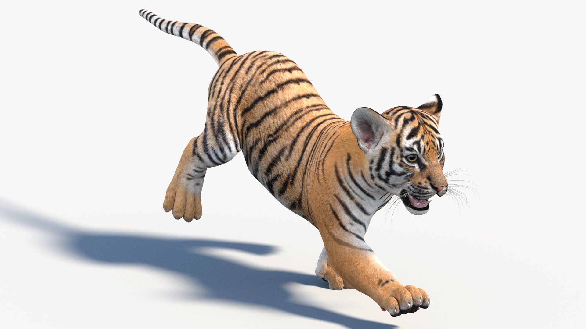 Animated Tiger Cub 3D Model 3D Model - TurboSquid 2332880