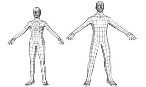 3D human base mesh model