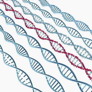 Dna