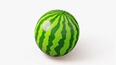 Watermelon Stylized