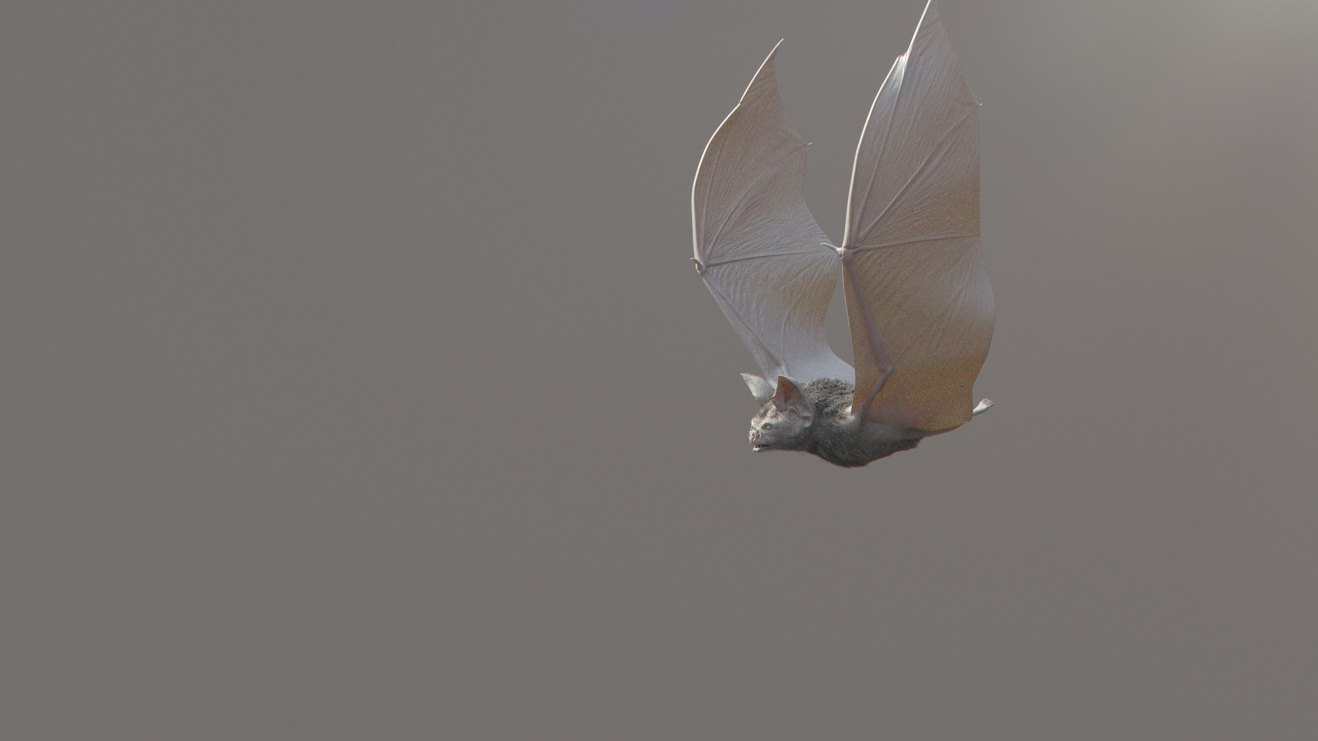 3d vampire bat https://p.turbosquid.com/ts-thumb/q5/9HLeze/4Ch5j8tu/shade/jpg/1590612417/1920x1080/turn_fit_q99/c067dd5617ba9a6d46fb277259d73d605672d68b/shade-1.jpg
