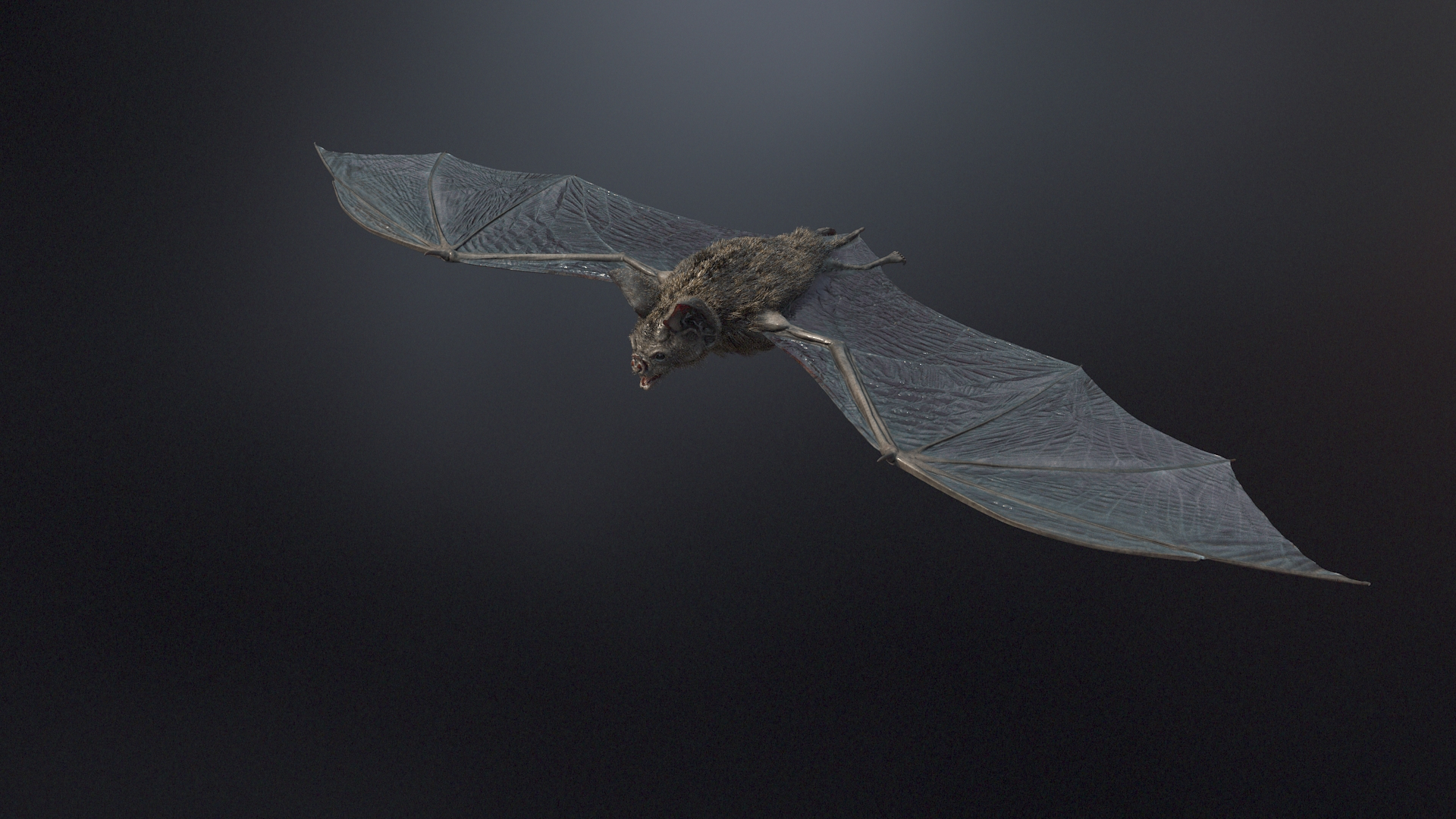 3d vampire bat https://p.turbosquid.com/ts-thumb/q5/9HLeze/7iZQ8bbE/beauty_around/jpg/1590613683/1920x1080/turn_fit_q99/7716b831f395220ff9dc890a7fa2efee46d3275b/beauty_around-1.jpg