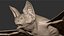 Vampire Bat with Fur (Rigged)