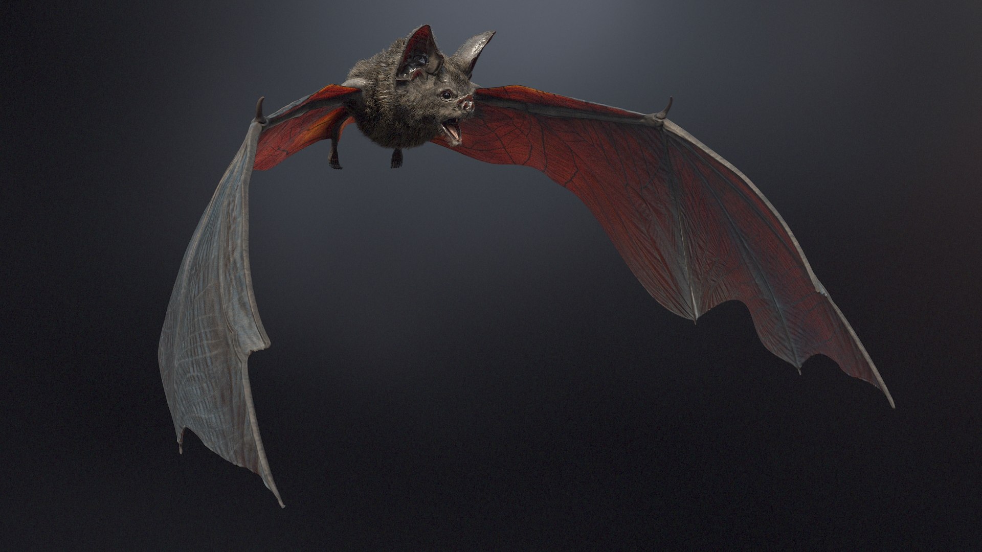 3d vampire bat