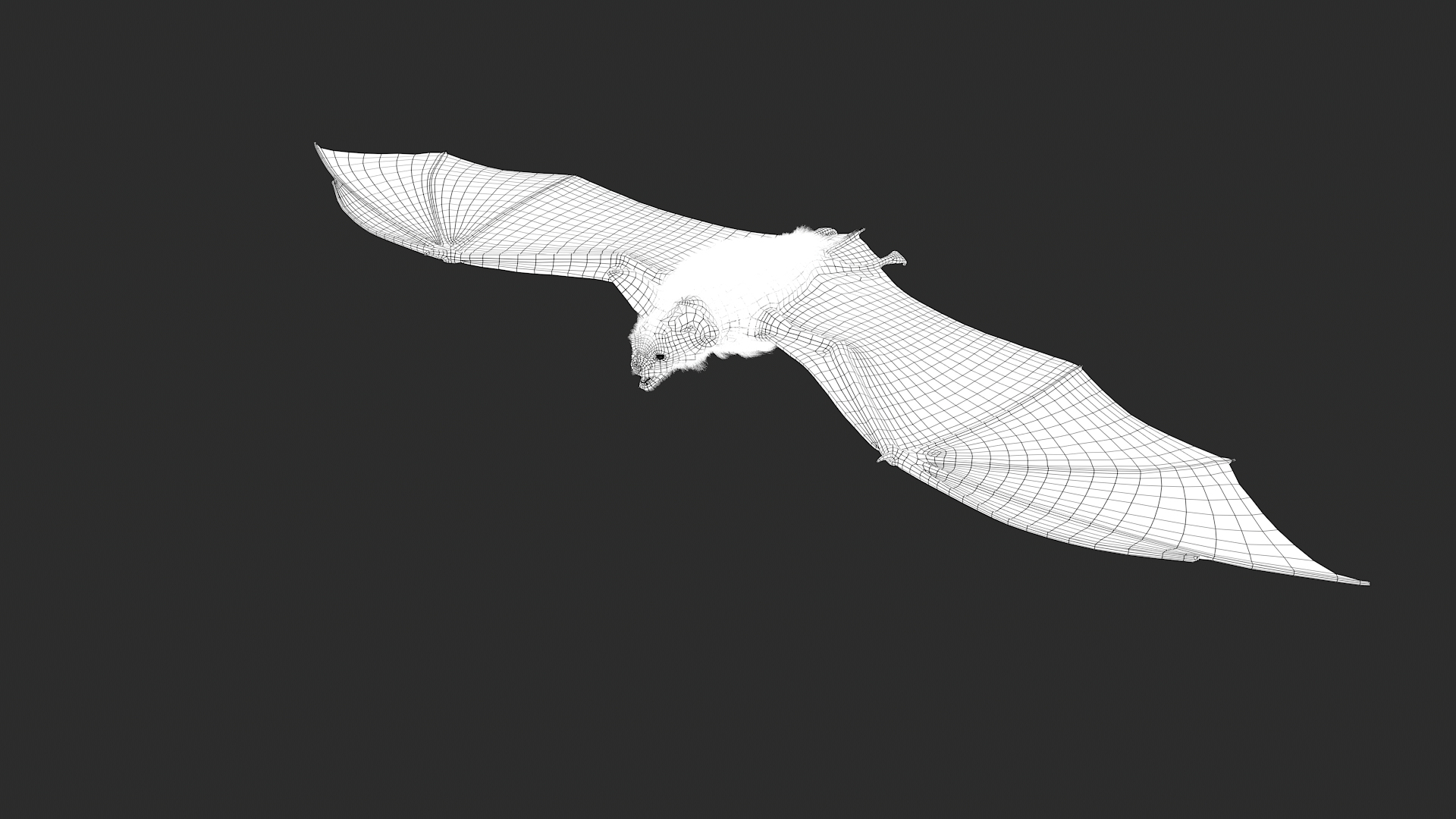 3d vampire bat https://p.turbosquid.com/ts-thumb/q5/9HLeze/muYjJKaz/wire_around/jpg/1590613828/1920x1080/turn_fit_q99/36234a6f5cd67389685cc7e14e24913f9db80e36/wire_around-1.jpg