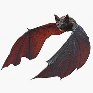 3d vampire bat