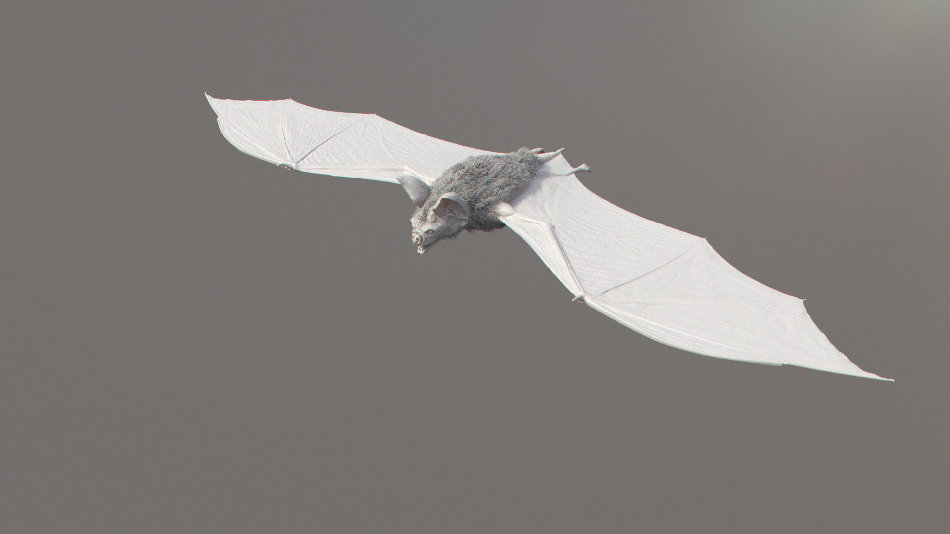 3d vampire bat https://p.turbosquid.com/ts-thumb/q5/9HLeze/rsWrvcJ3/shade_around/jpg/1590613768/1920x1080/turn_fit_q99/496b1ee60826543be19d3667e7288bd3343a5534/shade_around-1.jpg