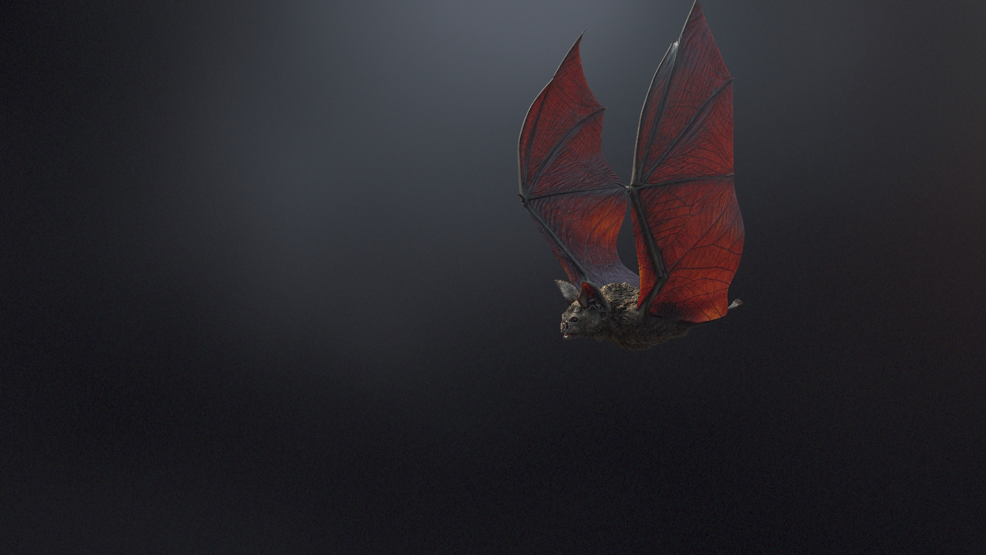3d vampire bat https://p.turbosquid.com/ts-thumb/q5/9HLeze/sDcyTxex/beauty_turn/jpg/1590612293/1920x1080/turn_fit_q99/262afeeca7db31197f4ddd8ad72466f04bd1762c/beauty_turn-1.jpg