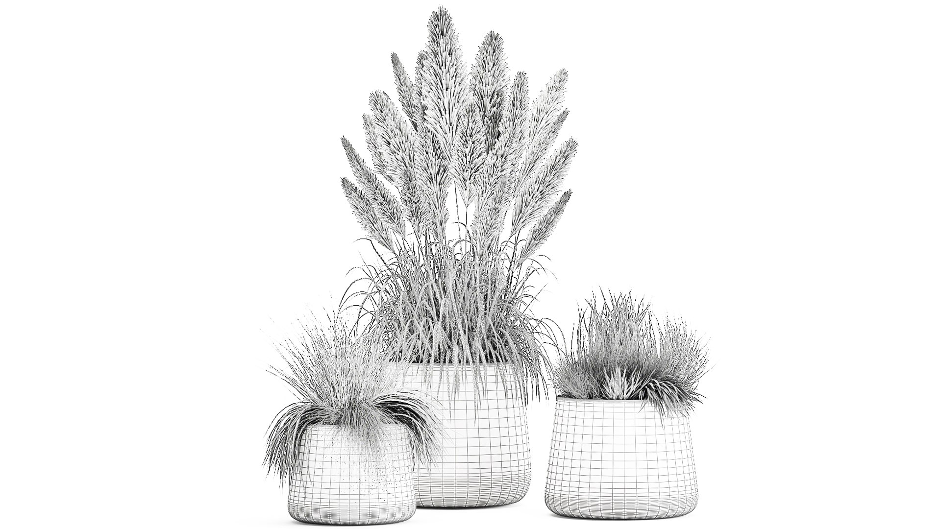 3D reeds and grass in a Flowerpot for the interior 920 - TurboSquid 1717124