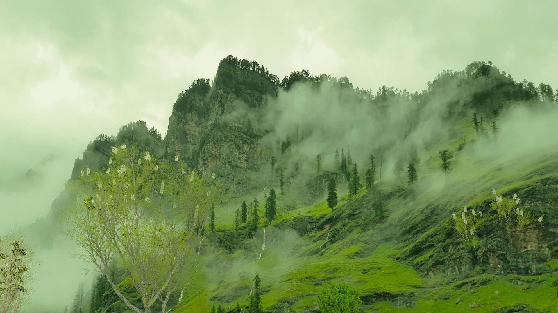 3D Lakeside model https://p.turbosquid.com/ts-thumb/q5/LxmwhA/O6/render03/jpg/1764371459/1920x1080/fit_q87/aff324a18fd4a8027be801319b2fdce105fd5953/render03.jpg