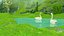 Bord du lac