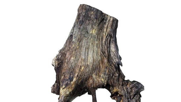 3d branch rotten wood