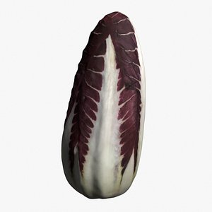 3D Radicchio