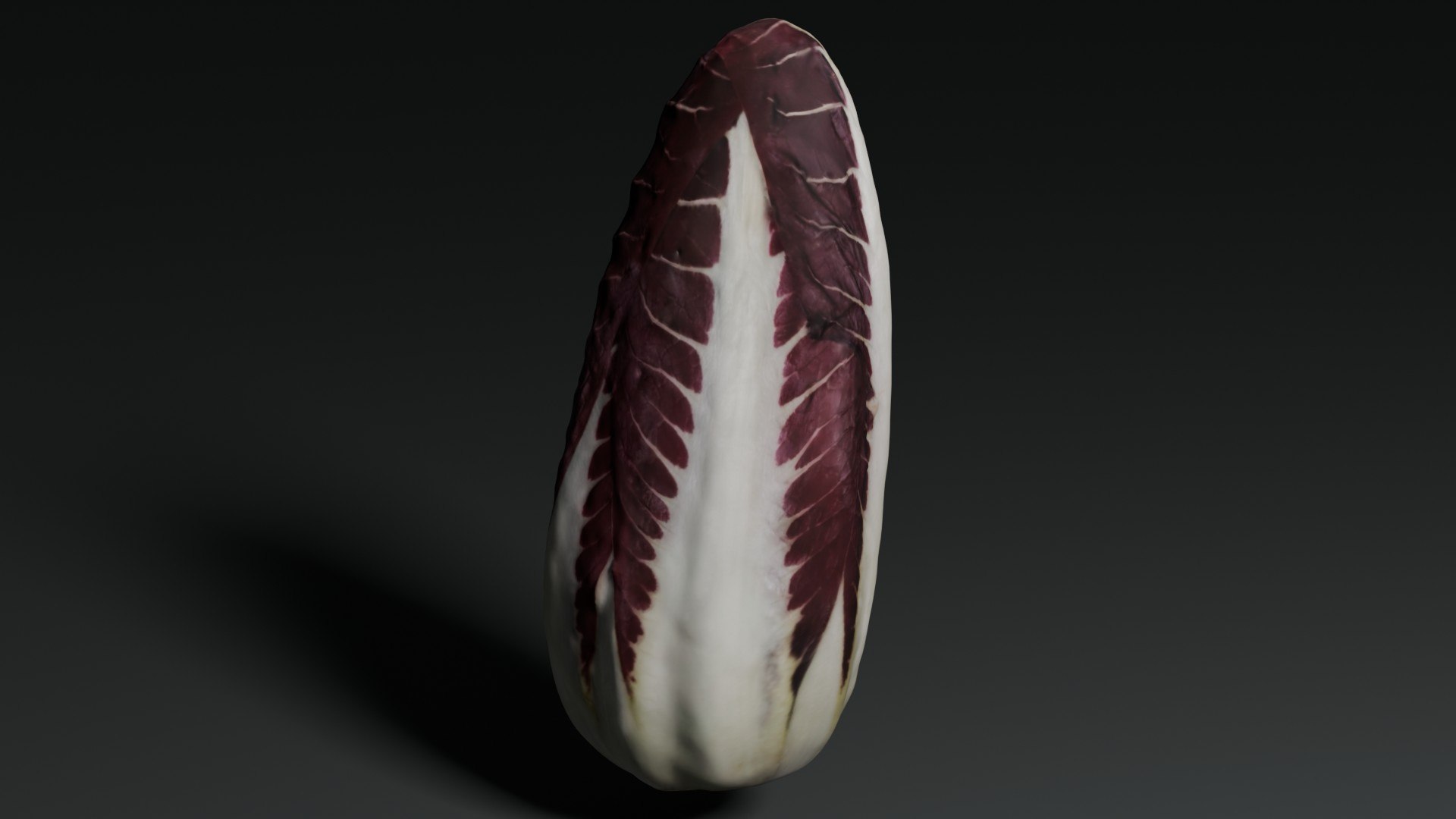 3D Radicchio https://p.turbosquid.com/ts-thumb/q5/NILOk9/mc/longradicchio_01/jpg/1774719973/1920x1080/fit_q87/160b4dbc90a306669434fe02c3e42c1b210b9221/longradicchio_01.jpg