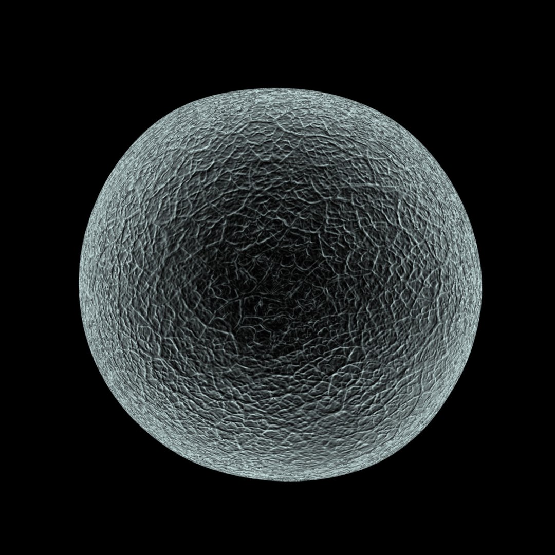 3d Model Human Egg Cell Microscope