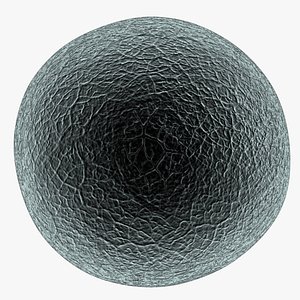 Human Egg Cell Microscope