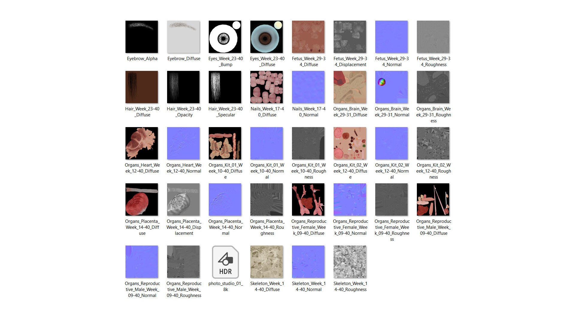 Fetus Anatomy Week 33 Animated 3D model https://p.turbosquid.com/ts-thumb/q5/sFfSkx/Po/texture_list/jpg/1633610173/1920x1080/fit_q87/74ce41e055bb63729bef4d934d9eb822ca38c681/texture_list.jpg