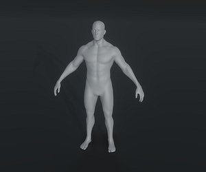 Male Body Base Mesh Animated and Rigged 3D Model 20k Polygons 3D