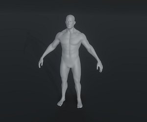 Male Body Base Mesh Animated and Rigged 3D Model 20k Polygons
