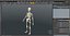 Female Anatomy Skeleton