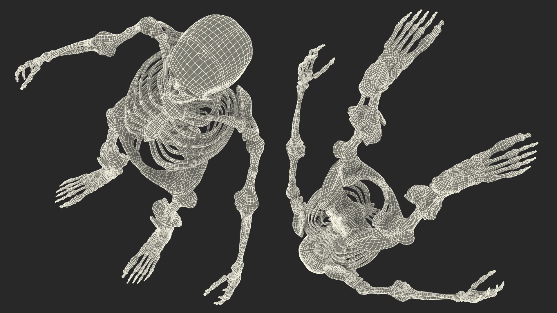 3D Female Anatomy Skeleton model https://p.turbosquid.com/ts-thumb/q5/xXwZGj/Vu/femaleanatomyskeleton3dsmodel025/jpg/1644501713/1920x1080/fit_q87/162a8a39ab8b5ee183b0f8627124b0b76df40c74/femaleanatomyskeleton3dsmodel025.jpg