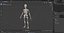 Female Anatomy Skeleton