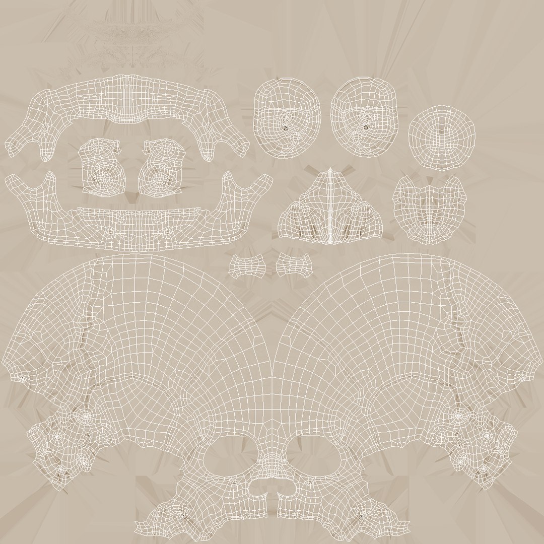 3D Female Anatomy Skeleton model https://p.turbosquid.com/ts-thumb/q5/xXwZGj/qY/femaleanatomyskeleton3dsmodel018/jpg/1644501696/1920x1080/fit_q87/5a150cf9ba900ad252efb8064f8415a6c711cfe1/femaleanatomyskeleton3dsmodel018.jpg