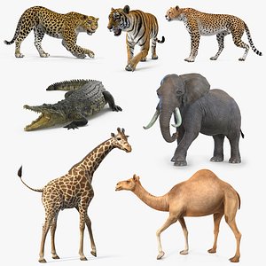 3D african animals 4 rigged model