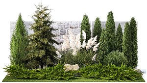 Garden with thuja cypress tree and pampas grass reed grass 1383
