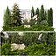 Garden with thuja cypress tree and pampas grass reed grass 1383 3D model