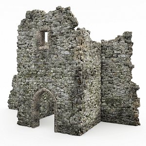 Ruins castle