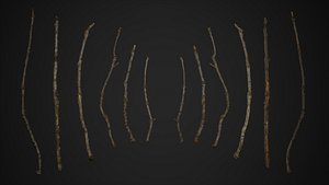 oak branch scanned 3D model