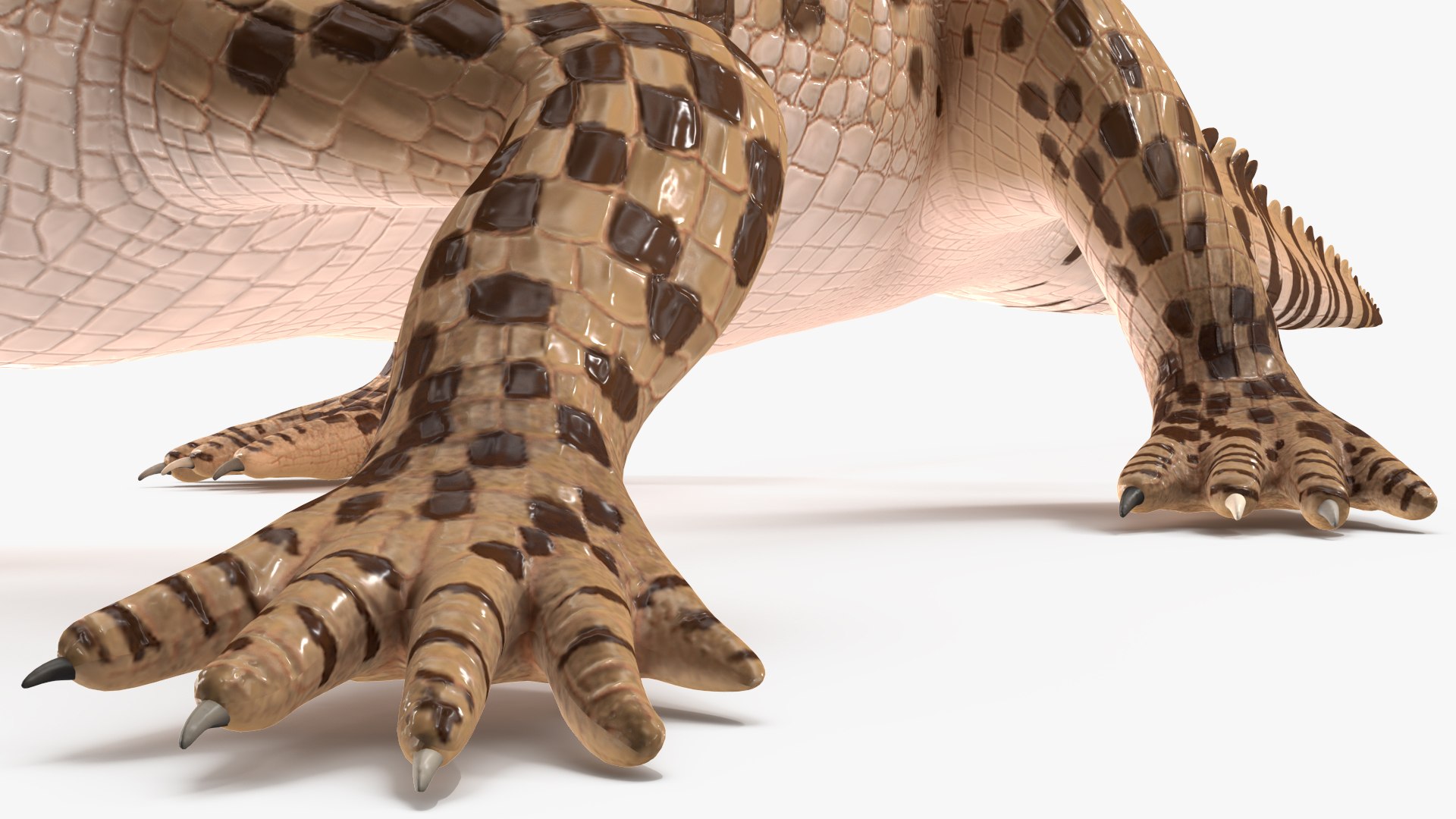 3D Baby Crocodile Light Color Rigged for Modo https://p.turbosquid.com/ts-thumb/q6/QeLKX2/Ha/babycrocodilelightcolorriggedvray3dmodel029/jpg/1655313844/1920x1080/fit_q87/febecfdc244c07f18c0af387a748a2aad2dda378/babycrocodilelightcolorriggedvray3dmodel029.jpg