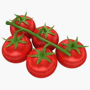 realistic cherry tomatoes 3d model