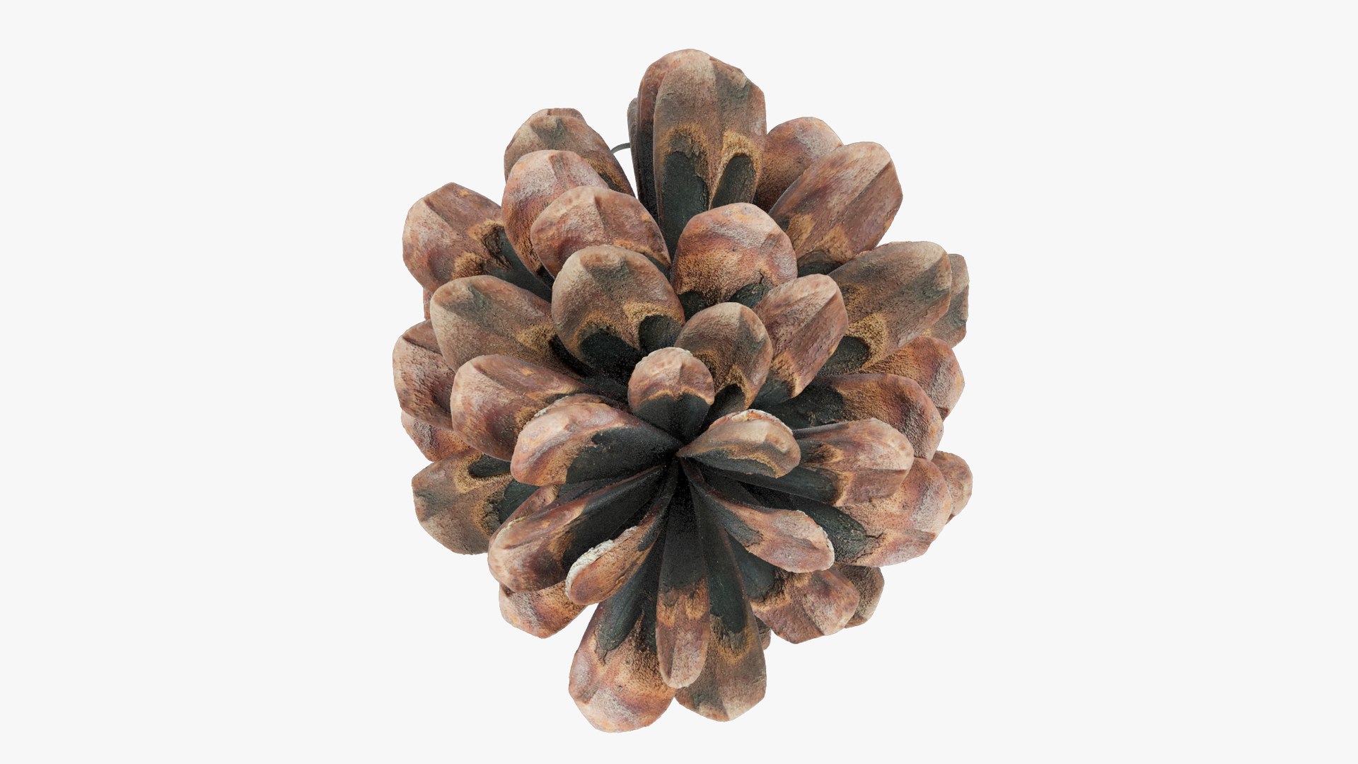 3D DIY Christmas Tree Toys Collection V1 https://p.turbosquid.com/ts-thumb/q6/SPGCju/D6/cctt1_004_014/png/1700880875/1920x1080/fit_q87/45bd7c5ef55d0924c9147cd3f2b5756997da50df/cctt1_004_014.jpg